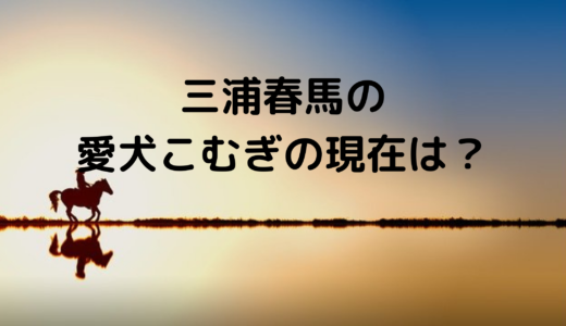 三浦春馬の愛犬こむぎ の現在は？ジャックス・ラッセル・テリアで雑誌にも登場！